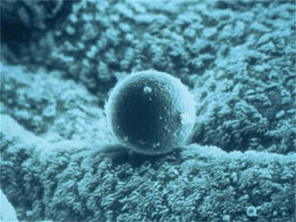 2025年单身男士在马来西亚做试管婴儿全流程详解与全新要求解读